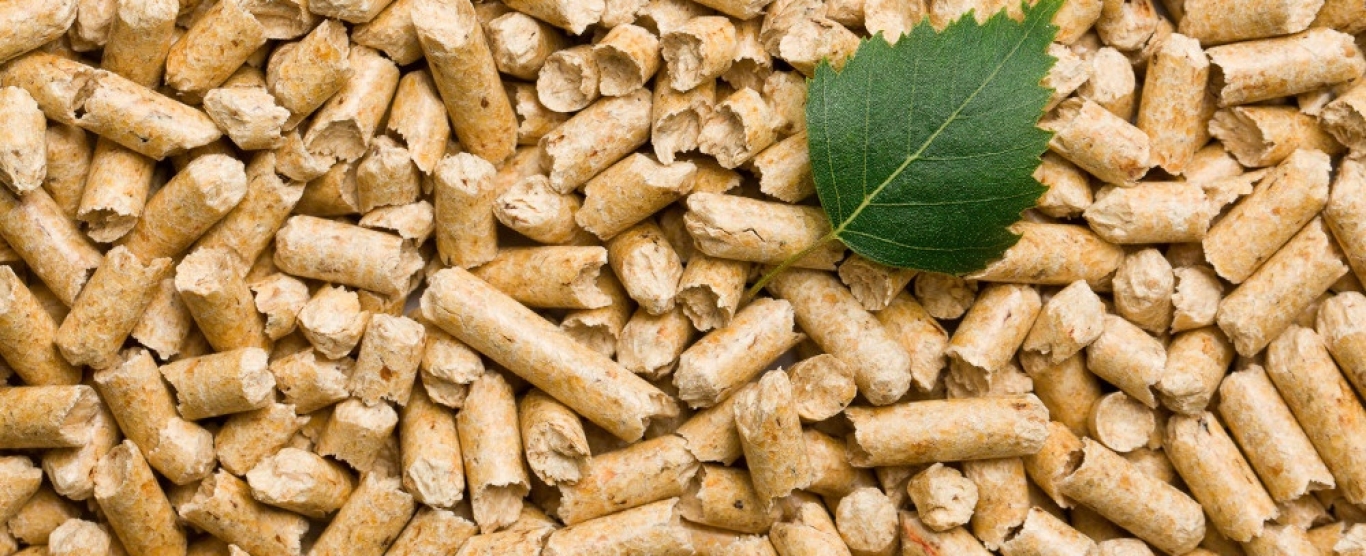 VIÊN NÉN ĐỒNG NAI