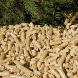 Cung Cấp Viên Nén Gỗ Tại Đồng Nai