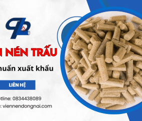 Mua viên nén trấu chất lượng chuẩn xuất khẩu tại Đồng Nai – Đến ngay Phương Linh Phát