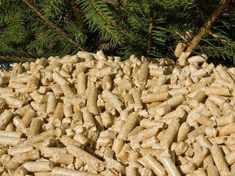 Xưởng sản xuất viên nén